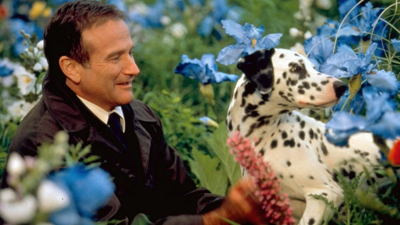 рейтинг самых красивых фильмов. Смотреть фото рейтинг самых красивых фильмов. Смотреть картинку рейтинг самых красивых фильмов. Картинка про рейтинг самых красивых фильмов. Фото рейтинг самых красивых фильмов рейтинг самых красивых фильмов. Смотреть фото рейтинг самых красивых фильмов. Смотреть картинку рейтинг самых красивых фильмов. Картинка про рейтинг самых красивых фильмов. Фото рейтинг самых красивых фильмов